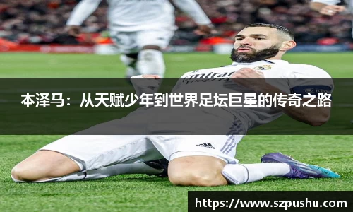 mk体育官网入口