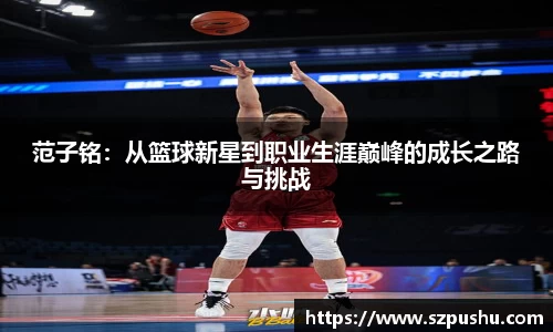 mk体育官网入口